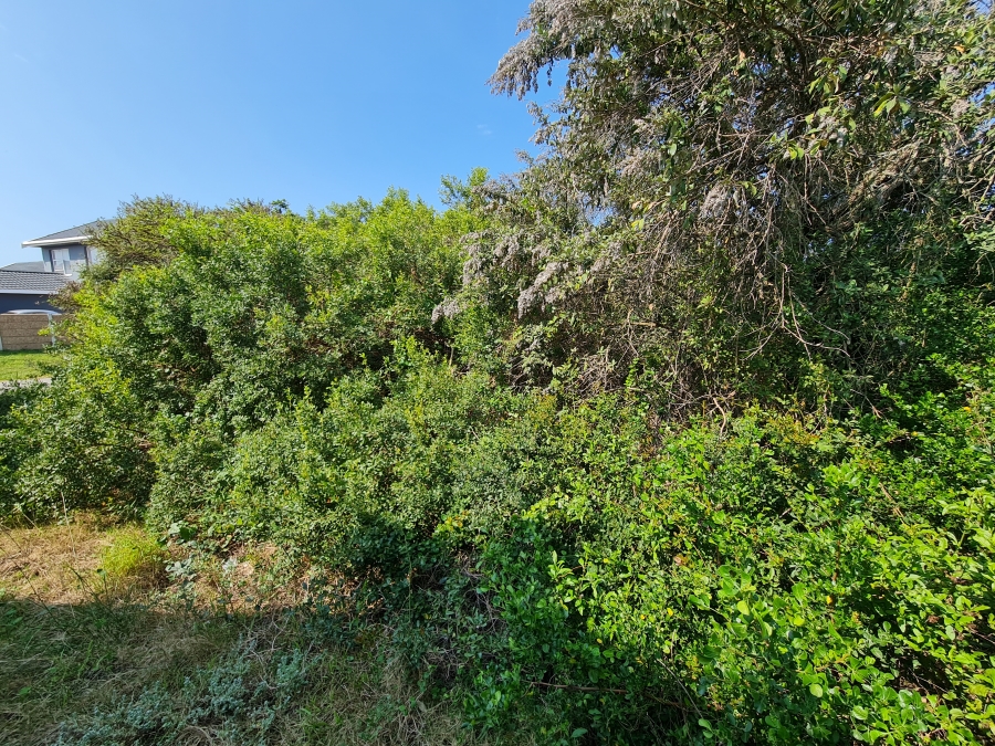 0 Bedroom Property for Sale in Aston Bay Eastern Cape